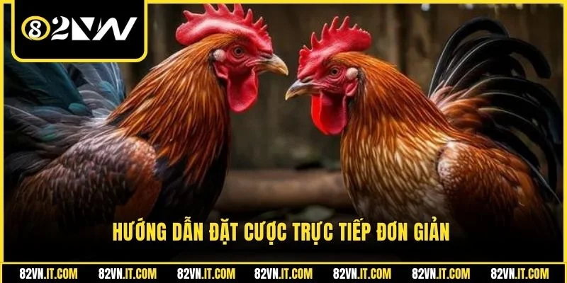 Hướng dẫn đặt cược trực tiếp đơn giản