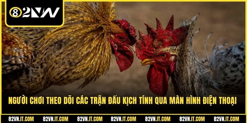 Người chơi theo dõi các trận đấu kịch tính qua màn hình điện thoại