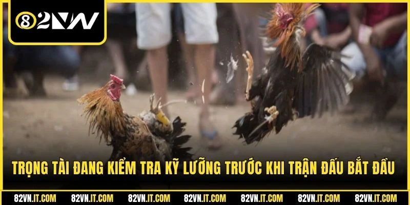 Trọng tài đang kiểm tra kỹ lưỡng trước khi trận đấu bắt đầu